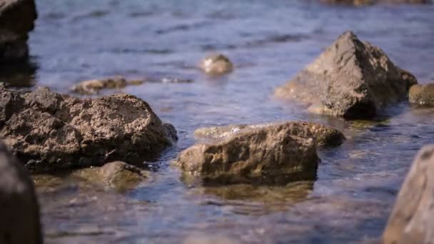 Τα κρυστάλλινα νερά της θάλασσας στην ακτή της Μαύρης Θάλασσας — Αρχείο Βίντεο