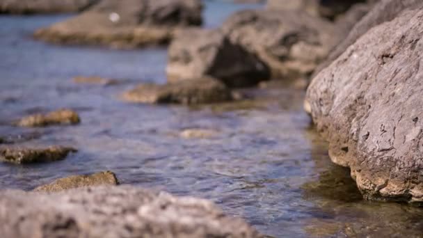 Det kristallklara vattnet på stranden av Svarta havet i havet — Stockvideo