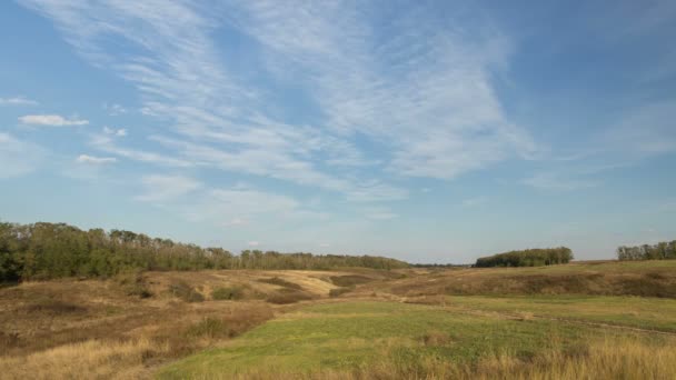 Russland, Zeitraffer. die Bildung und Bewegung von Wolken über herbstlichen endlosen grünen Grasfeldern in den weiten Steppen des Don. — Stockvideo