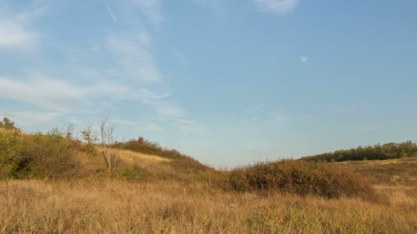 Russie, chronométrage. La formation et le mouvement des nuages sur les champs d'herbe verts sans fin d'automne dans les vastes steppes du Don . — Video