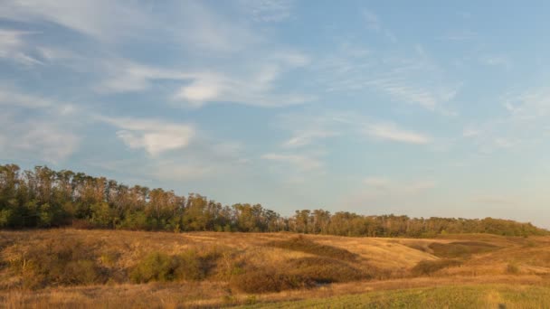 Russland, Zeitraffer. die Bildung und Bewegung von Wolken über herbstlichen endlosen grünen Grasfeldern in den weiten Steppen des Don. — Stockvideo