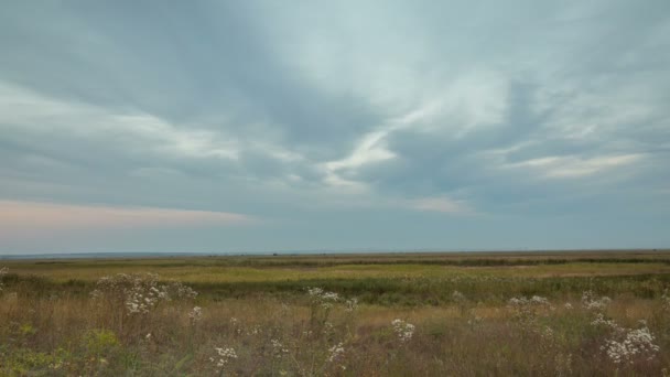 Росія, тимчасом. Утворення і рух хмар над осінніми нескінченними зеленими полями трави в величезних степах Дону. — стокове відео