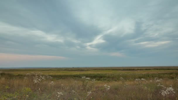 Rusya, zaman atlamalı. Don'un uçsuz bucaksız bozkırlarında, sonbahardaki sonsuz yeşil çim alanları nın oluşumu ve hareketi. — Stok video