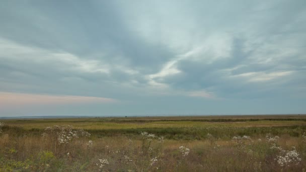 Rusland, timelapse. De vorming en beweging van wolken in de herfst eindeloze groene velden van gras in de uitgestrekte steppen van de Don. — Stockvideo