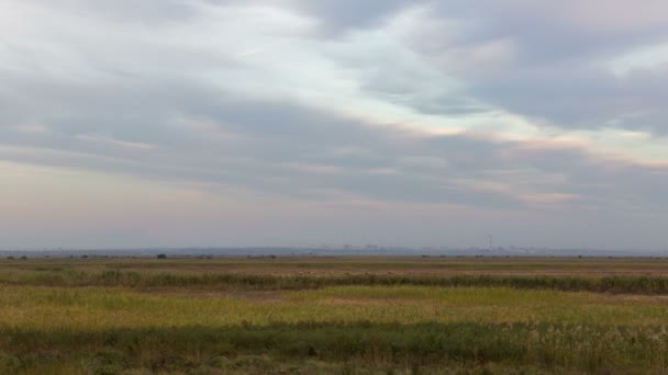Rusia, timelapse. La formación y el movimiento de las nubes sobre el otoño campos verdes sin fin de hierba en las vastas estepas del Don . — Vídeo de stock