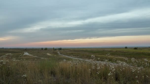 Russland, Zeitraffer. die Bildung und Bewegung von Wolken über herbstlichen endlosen grünen Grasfeldern in den weiten Steppen des Don. — Stockvideo