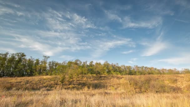 Russland, Zeitraffer. die Bildung und Bewegung von Wolken über herbstlichen endlosen grünen Grasfeldern in den weiten Steppen des Don. — Stockvideo