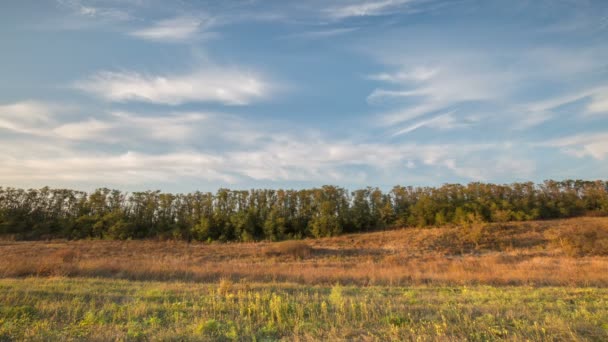 Ryssland, Timelapse. Bildandet och förflyttning av moln över hösten ändlösa gröna fält av gräs i de stora stäpperna av Don. — Stockvideo