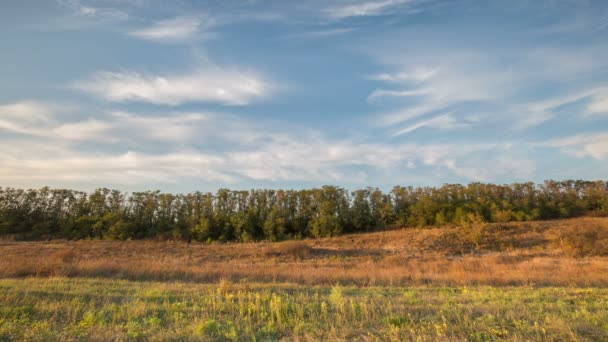 Rusland, timelapse. De vorming en beweging van wolken in de herfst eindeloze groene velden van gras in de uitgestrekte steppen van de Don. — Stockvideo