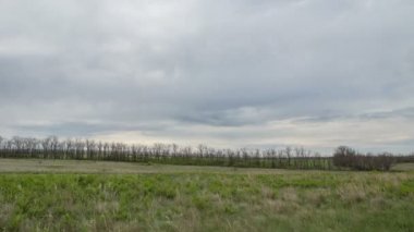 Don geniş bozkırlarında erken Bahar kış buğday alanları üzerinde thunderclouds hareketi.
