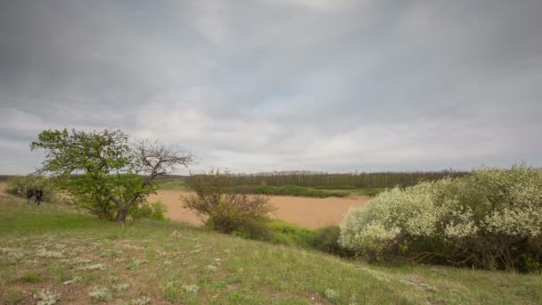 Il movimento delle nuvole tuonanti sui campi di grano invernale all'inizio della primavera nelle vaste steppe del Don . — Video Stock