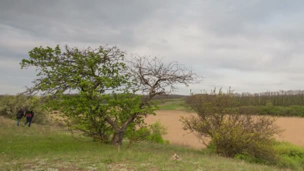 Het verkeer van de onweerslucht over de velden van wintertarwe in het vroege voorjaar in de uitgestrekte steppen van de Don. — Stockvideo