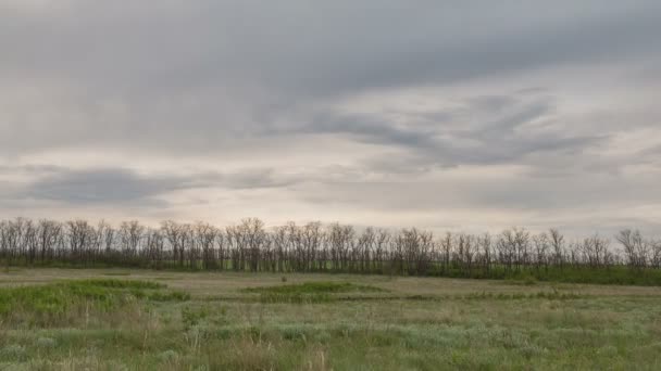 El movimiento de las nubes de trueno sobre los campos de trigo de invierno a principios de primavera en las vastas estepas del Don . — Vídeos de Stock