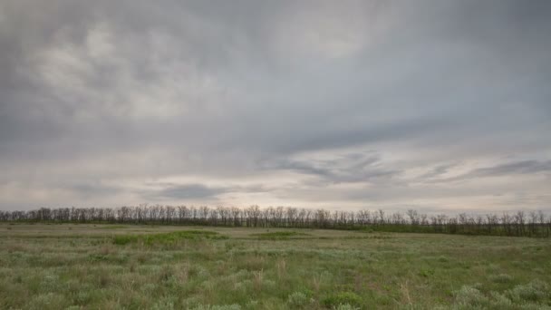 El movimiento de las nubes de trueno sobre los campos de trigo de invierno a principios de primavera en las vastas estepas del Don . — Vídeos de Stock
