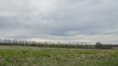Don geniş bozkırlarında erken Bahar kış buğday alanları üzerinde thunderclouds hareketi.