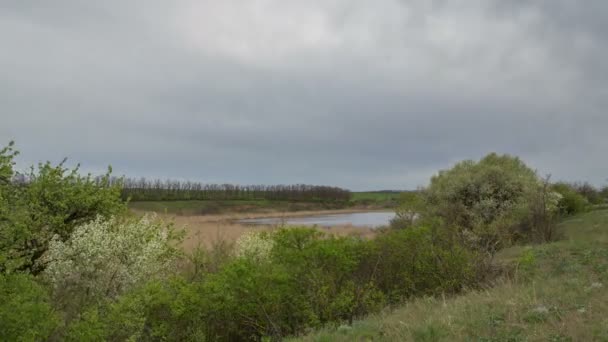 Il movimento delle nuvole tuonanti sui campi di grano invernale all'inizio della primavera nelle vaste steppe del Don . — Video Stock