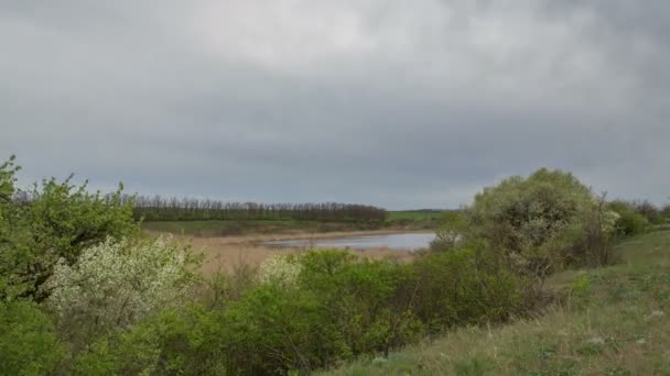 El movimiento de las nubes de trueno sobre los campos de trigo de invierno a principios de primavera en las vastas estepas del Don . — Vídeos de Stock