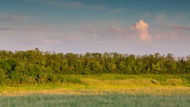 Coucher de soleil dans la steppe du Don — Video