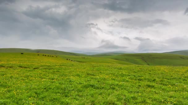 La formación y el movimiento de nubes hasta las empinadas laderas de las montañas del Cáucaso Central . — Vídeo de stock