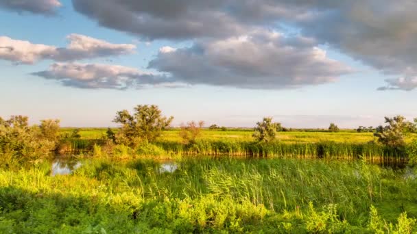 Die Bildung und Bewegung von Wolken über sommerlichen endlosen grünen Grasfeldern in den Steppen des Don. — Stockvideo