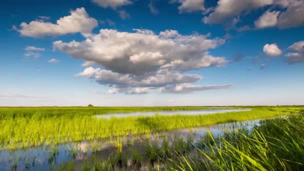 Die Bildung und Bewegung von Wolken über sommerlichen endlosen grünen Grasfeldern in den Steppen des Don. — Stockvideo