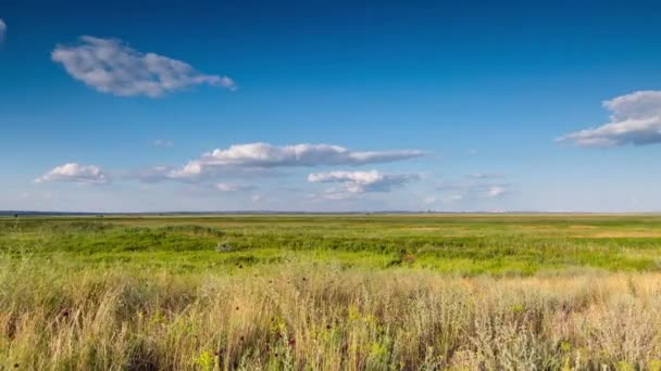 Wolken boven de steppe. — Stockvideo