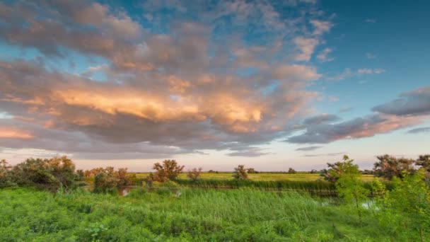 Die Bildung und Bewegung von Wolken über sommerlichen endlosen grünen Grasfeldern in den Steppen des Don. — Stockvideo