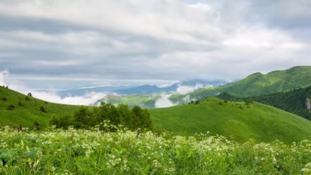 Zaman atlamalı. Rusya, Kafkas Dağları bulutlar Alpin çayırlar üzerinde oluşumu. — Stok video