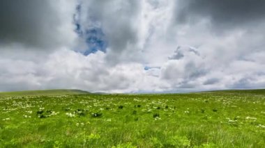 Bulutlar Alpin çayırlar üzerinde oluşumu.