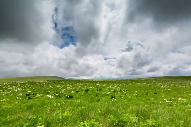 고산 초원에 구름의 형성. — 비디오