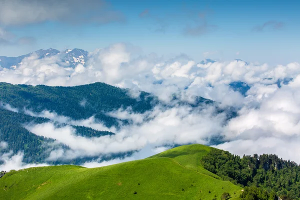 Niebla sobre el bosque en las montañas. — Foto de Stock