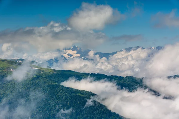 Niebla sobre el bosque en las montañas. — Foto de Stock
