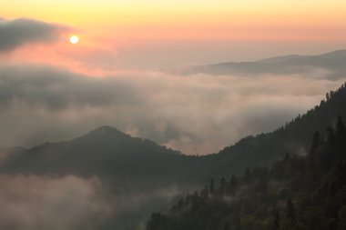 Dağlardaki ormanda sis var..