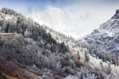 Dağlarda ilk frost.