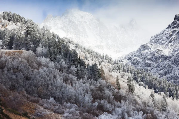 Dağlarda ilk frost.