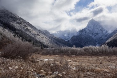 Dağlarda ilk frost.