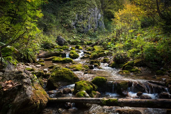 Montagne rivière automne jour dans la brousse et les arbres avec des pierres rondes — Photo