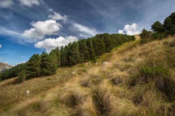 Otoño cielo azul con nubes blancas y montañas en el amarillo — Foto de Stock