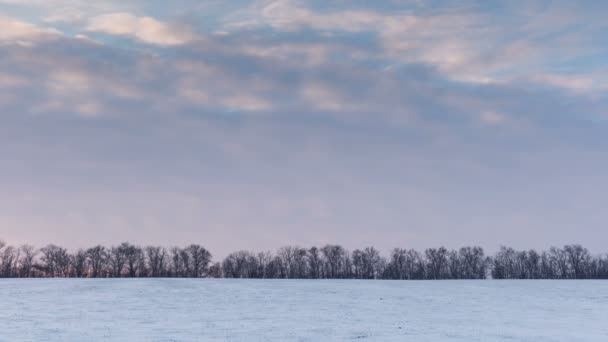 タイムラプス。ロシア。ロストフ地域。冬は雪に覆われた草原の夕暮れ雲の動き. — ストック動画
