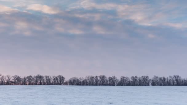 Timelapse. Russia. Rostov region. The movement of the clouds at sunset in the snowy steppe in winter. — Stock Video