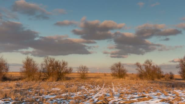 冬日的太阳下山，丁香和上面的云的芦苇. — 图库视频影像