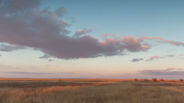 Puesta de sol de invierno con nubes lila sobre las cañas . — Vídeos de Stock