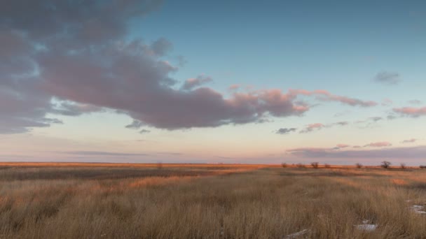 Pôr-do-sol de inverno com nuvens lilás sobre as palhetas . — Vídeo de Stock