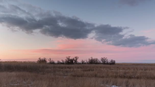 Зимовий захід сонця з бузковими хмарами над очеретом . — стокове відео