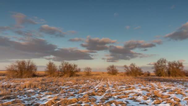 Puesta de sol de invierno con nubes lila sobre las cañas . — Vídeo de stock