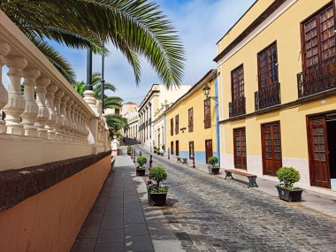 Renkli evler ve hurmalıklar içinde.