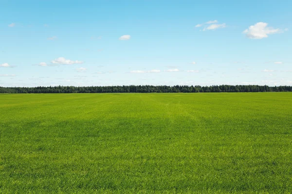 Paisaje idílico Fotos De Stock Sin Royalties Gratis