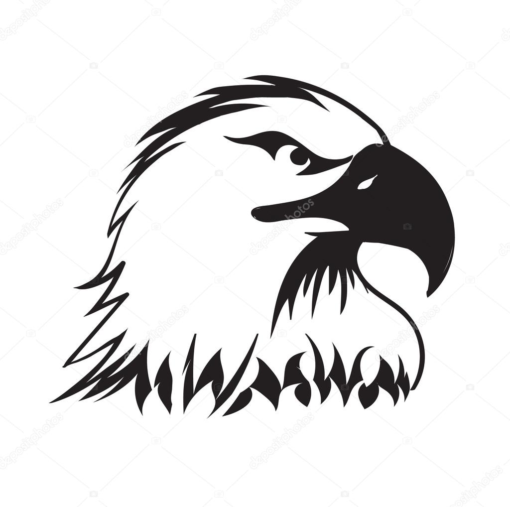 Eagle head illustration mascot