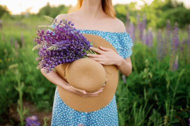 Bir kadın lupin tarlasında bir buket lupin ve şapka tutuyor. Yüzü yok..