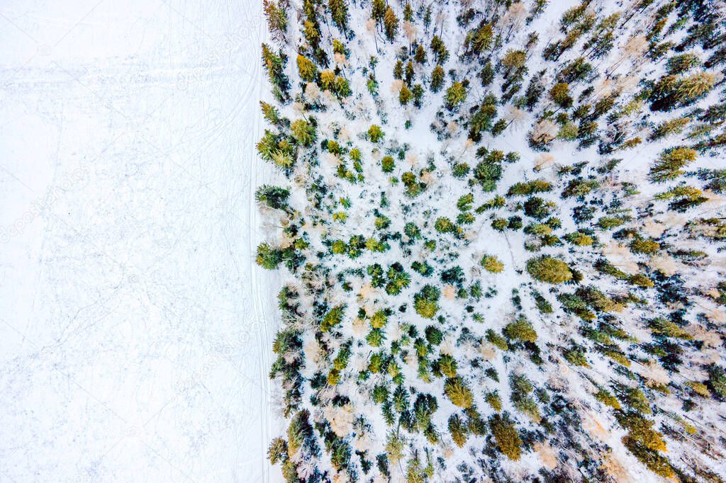 Aerial image from the top of snowy mountain pines in middle of the winter. top view, aerial view, empty space for design and text